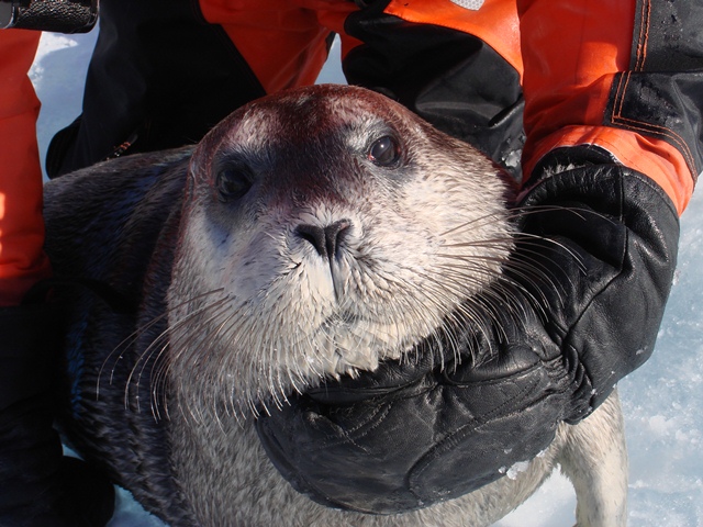 Svalbard Norway Photo 3